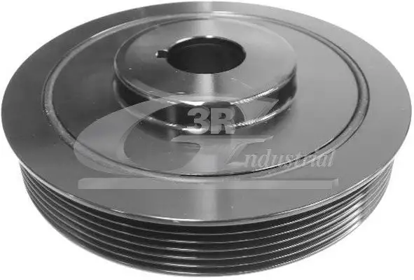 Poulie vilebrequin, Poulie damper 3RG 10213