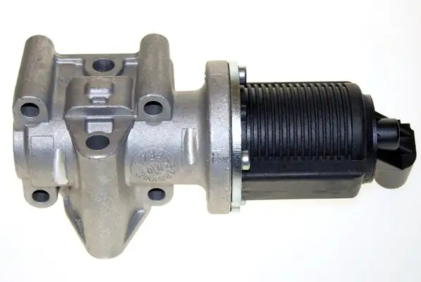 Vanne EGR LIZARTE EGR001