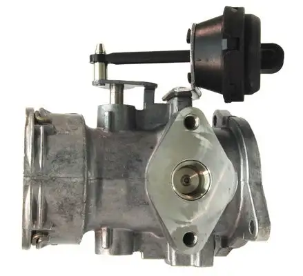 Vanne EGR LIZARTE EGR017