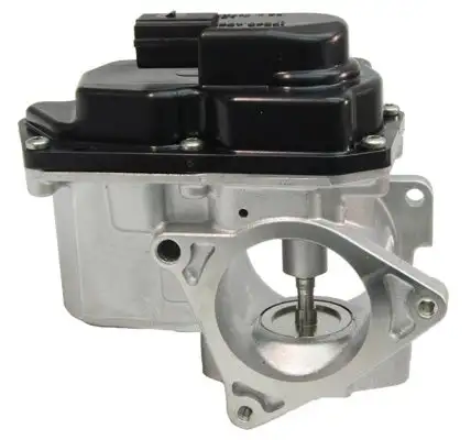 Vanne EGR LIZARTE EGR020