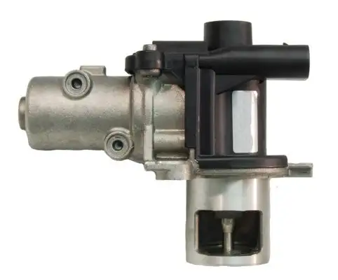 Vanne EGR LIZARTE EGR021