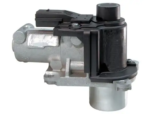 Vanne EGR LIZARTE EGR025