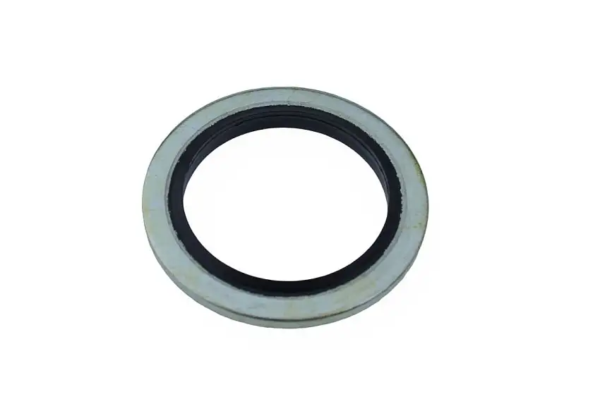 BAGUE D’éTANCHéITé BS T1 18,7X26X1,5 MM (10 PIèCES)