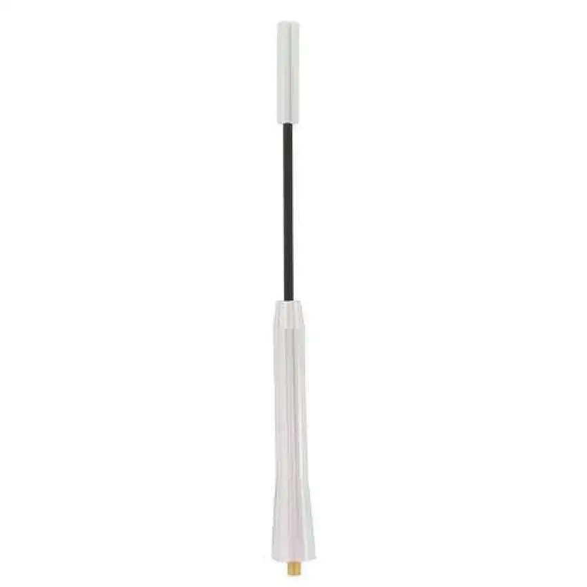 TIGE D’ANTENNE SINATEC ALUMINIUM 17 CM AVEC ADAPTATEURS M5/M6