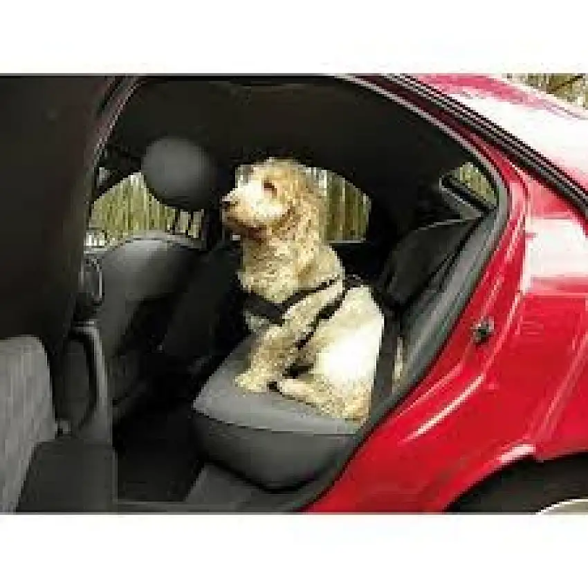 CEINTURE DE SéCURITé POUR CHIEN CARPOINT POUR VOITURE TAILLE M CHIENS DE TAILLE MOYENNE