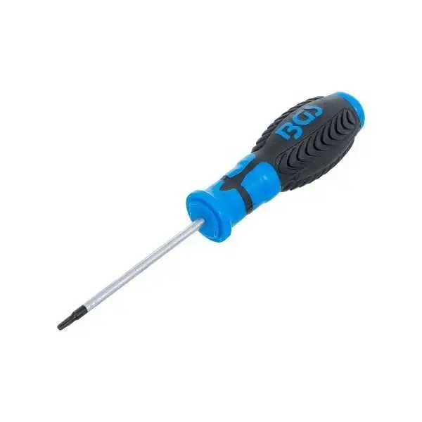 Tournevis profil T pour Torx avec perçage T10 longueur de la lame 80 mm