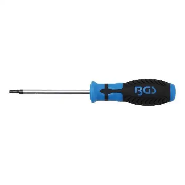 Tournevis profil T pour Torx avec perçage T25 longueur de la lame 100 mm