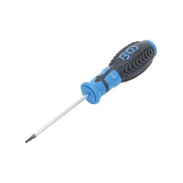Tournevis profil T pour Torx avec perçage T8 longueur de la lame 80 mm