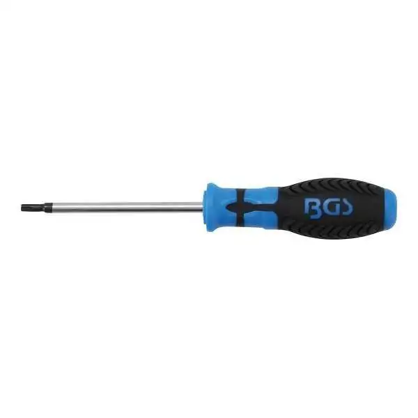 Tournevis profil T pour Torx T25 longueur de la lame 100 mm