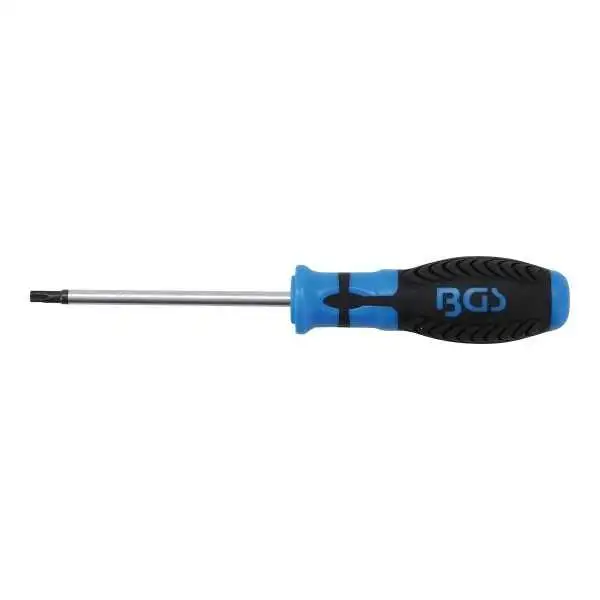 Tournevis profil T pour Torx T27 longueur de la lame 100 mm