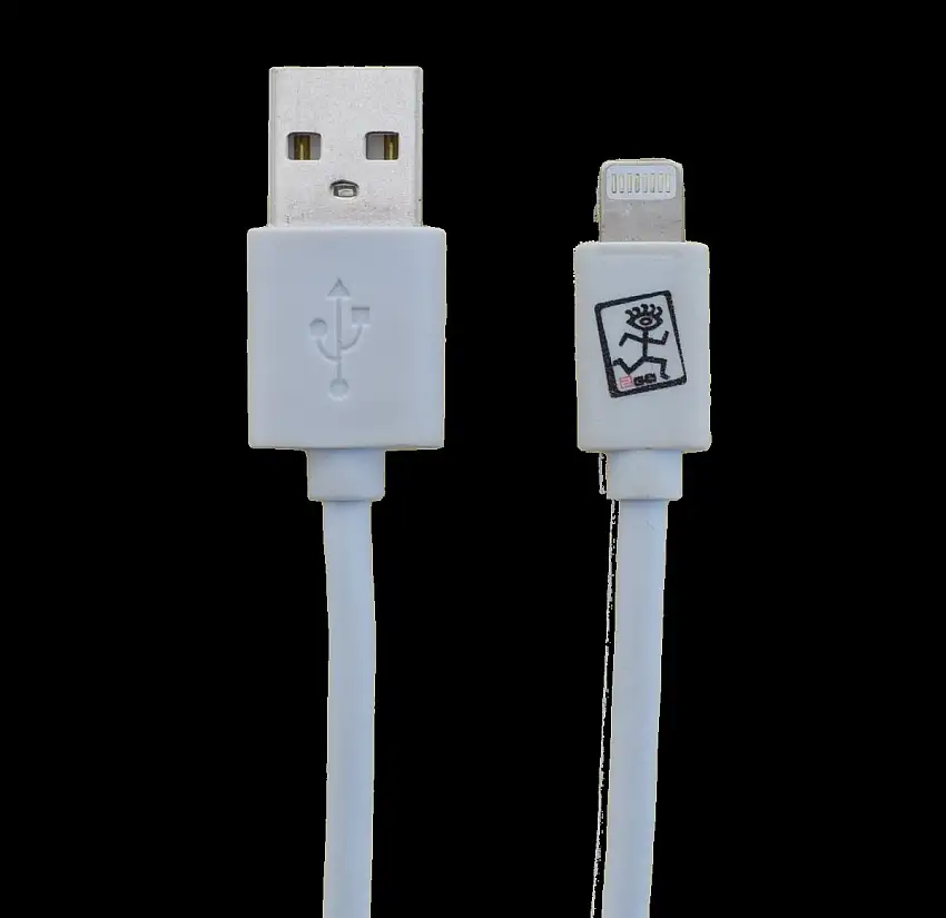 CâBLE DE DONNéES USB 2GO APPLE LIGHTNING VERS USB 100CM BLANC